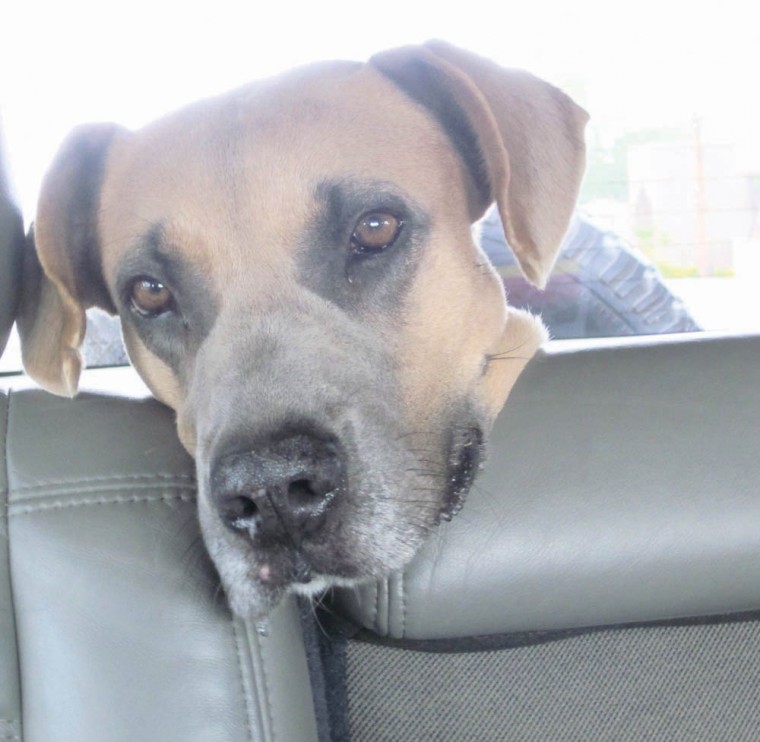 Someone to love: Xena